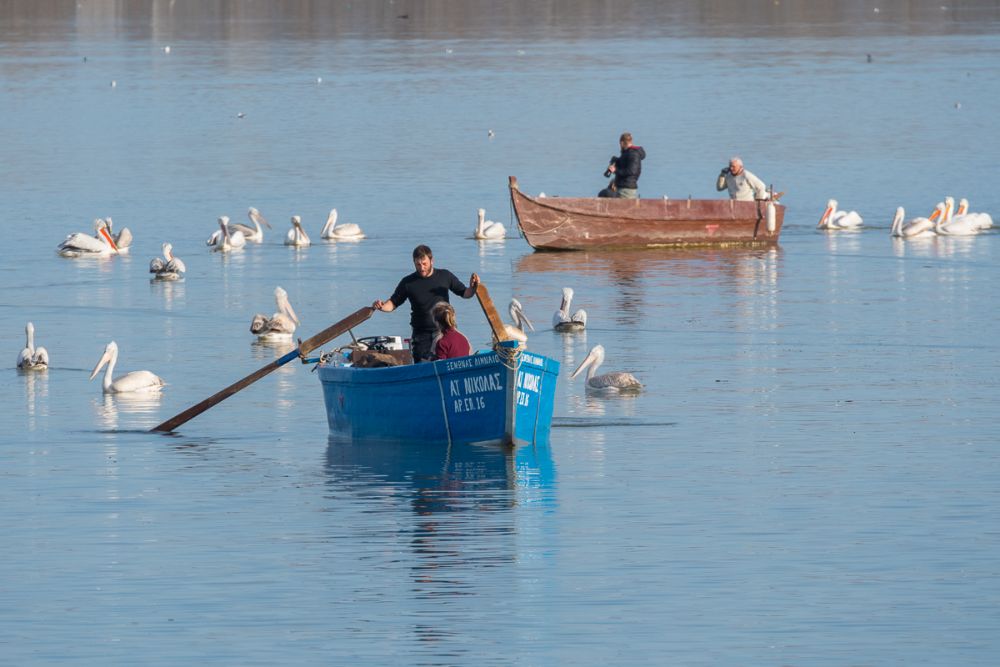 Hi Greece Bird Watching_Greek Youth Hostels